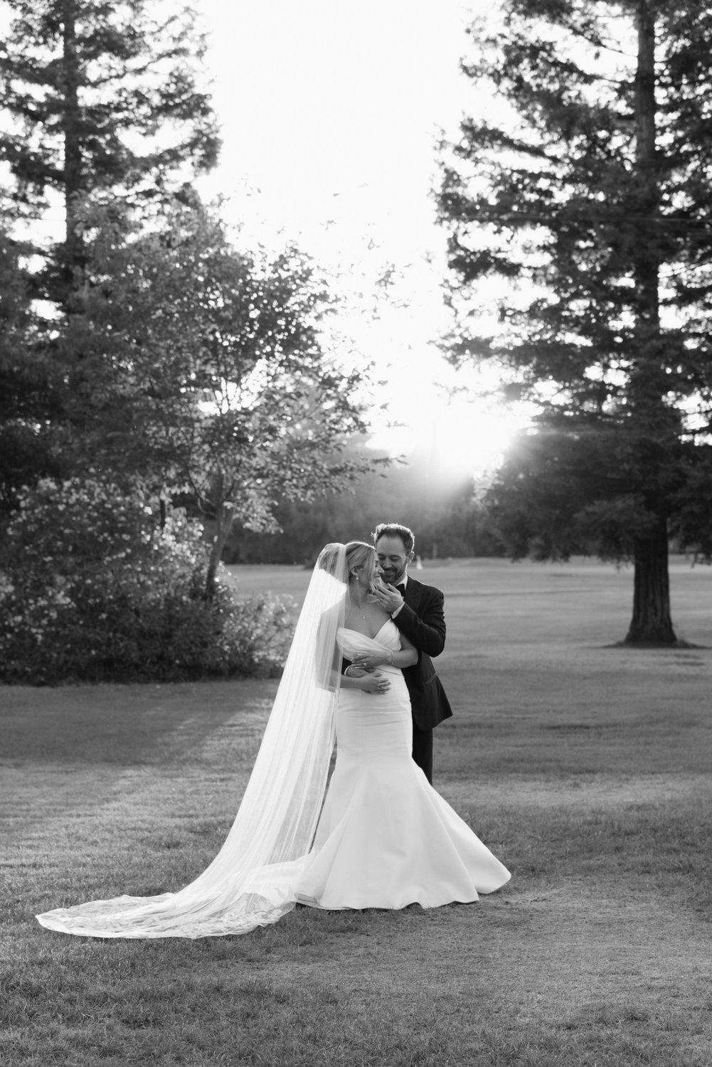 carousel-hero-element image-2